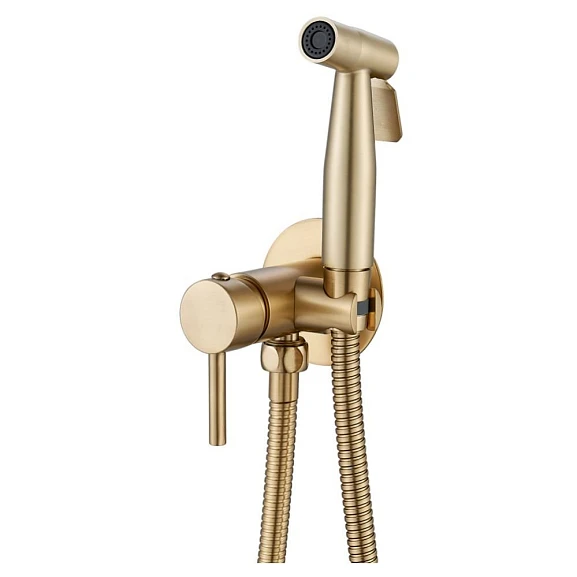 Гигиенический душ Shevanik со смесителем S147G брашированное золото