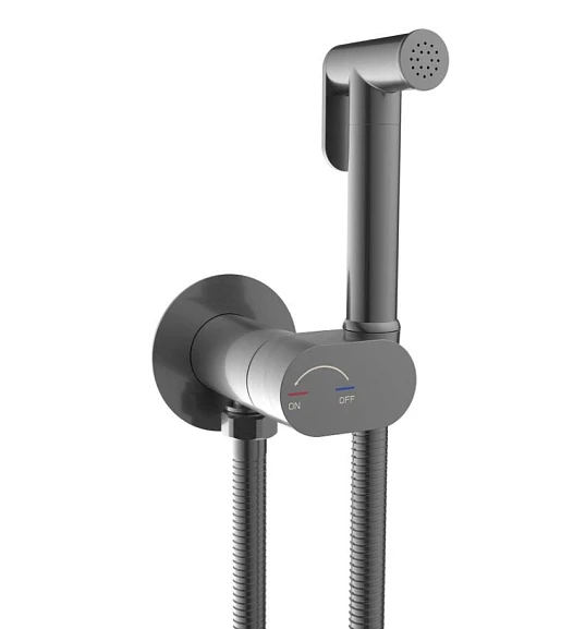 Гигиенический душ со смесителем WeltWasser HIGI R01 GG с прогрессивным картриджем вороненая сталь
