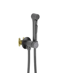 Гигиенический душ со смесителем Aquatek Европа AQ1020BGM скрытый монтаж вороненая сталь