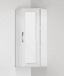 Шкаф Style Line Эко Стандарт 30*80 угловой R с зеркалом